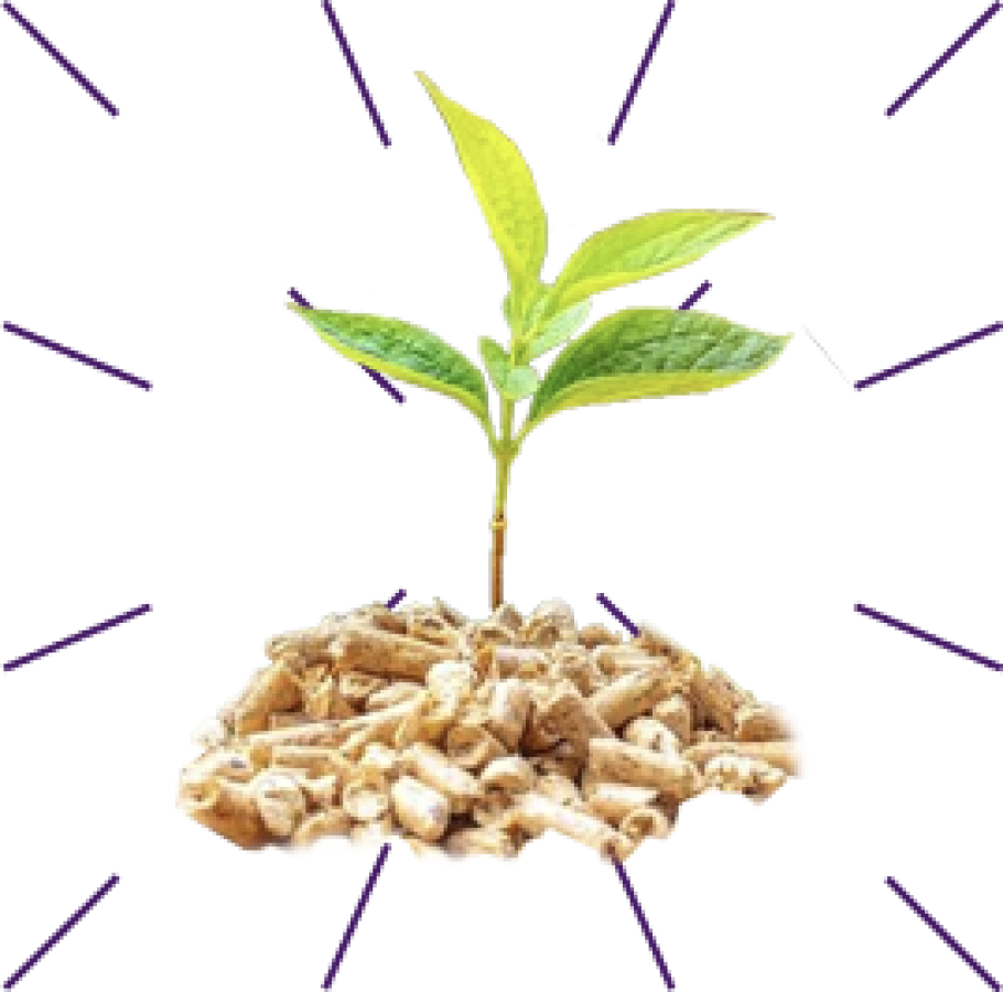 Jadevo plant on pellet pellets dashes tbv impact story icon header